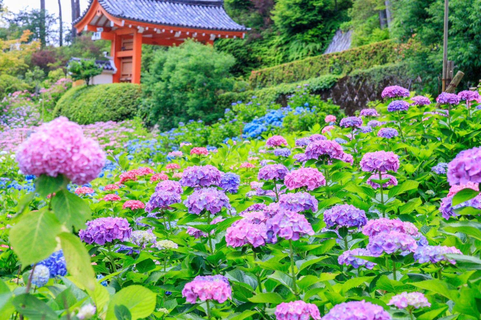 Mimaru Suites Kyoto Shijo Esterno foto